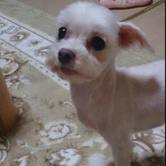 かおり*⑅︎୨୧