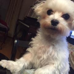 へるまん
