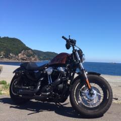 xl1200x