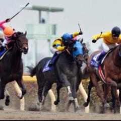 中央競馬 地方競馬予想グル