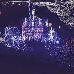 夜のお仕事の方々。お疲れ様です。