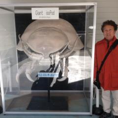 まーしーのトーク