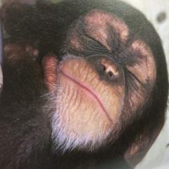 面白い高校生集まれ
