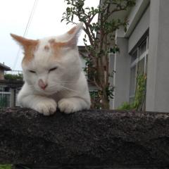 顔採点！甘々です！！(*´罒`*)