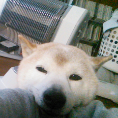 かなたのトーク