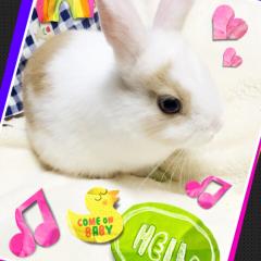 きみ@team♡てへめろ