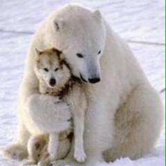 あべみ(咲良、美桜推し)