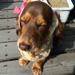 かっちゃんのトーク