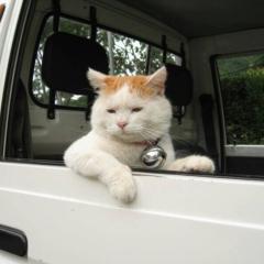 心に留めるリトーク集