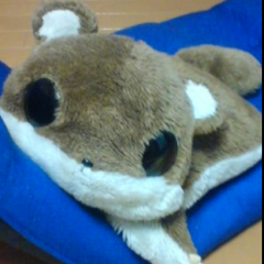 サット