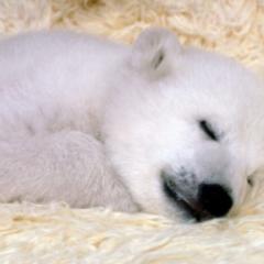 いっちゃんのトーク