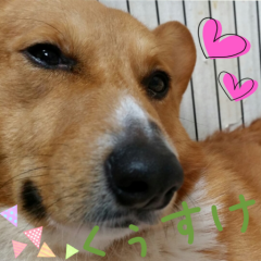 ゆっちゃん⊿みおな推し♡(*´╰╯`๓)