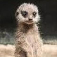 なおしのトーク