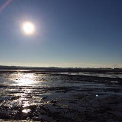 わたなべのトーク