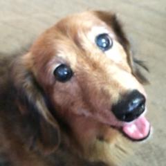 ぽんたのトーク