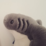 佑介(ユウスケ)