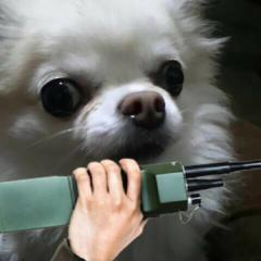 アプリ開発TIPSストック部屋とぼやき