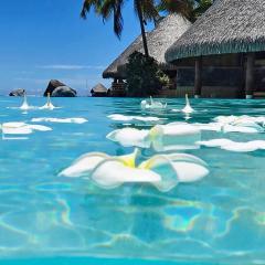 女兄弟おる変態男かもん