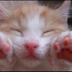 勉強してます(￣^￣)ゞ