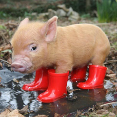 やじOK！しりとり  &かる~いトークOK