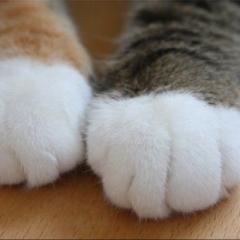 モンスト降臨軍団