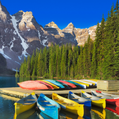 おもちちゃん専用トーク❗