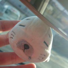 ～寂しがり屋～たいきの間♪ 出会いを大切にしましょう＼(^o^)