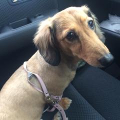 く  アラサーって何ですの？