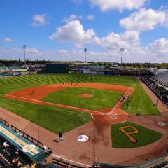 ヤクルトヒロワーズ