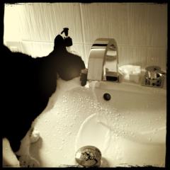 ひで坊のトーク