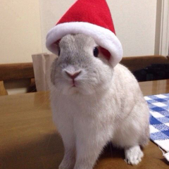 みるさんのトーク