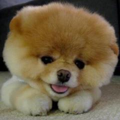 みーちゃん