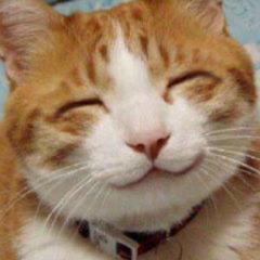 ✨ツトムのトークルーム✨