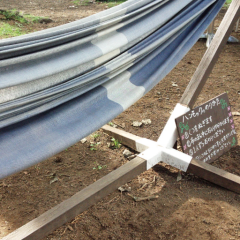 LDH♡でぃずにー