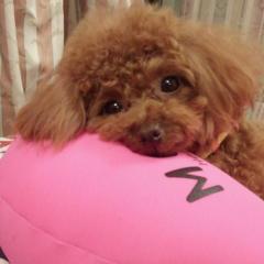 NMBメンバー好き集まれ