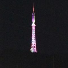 仙台の青葉区だよ！