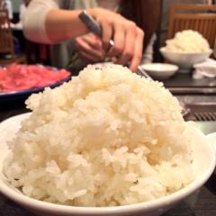 ごはん、おごります。