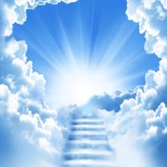 人間は死んだらどうなる?