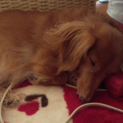 誰か～はなそー❗