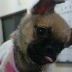 たかさん