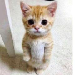 いま好きな曲なに!?