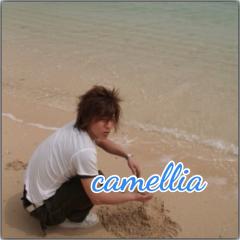 camellia@nana民