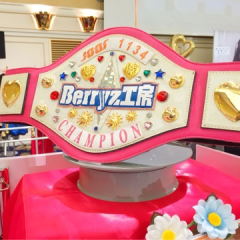 Berryz工房永久不滅！