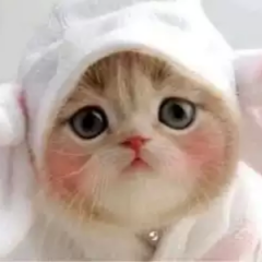 けいくん⊿『１月１７日生誕祭』