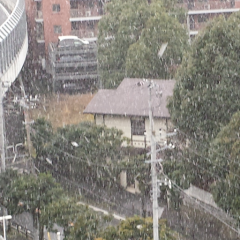 宿題終わってない人or眠れない人“ﾍ(￣∇￣ )ｶﾓｫｰﾝ♪