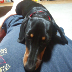 急に思ったことは書き留めよう