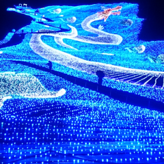 新潟 大人の雑談場