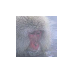 山野もんきち