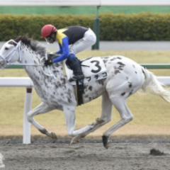 ラトルスネーク