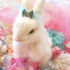 はなそーー❤️